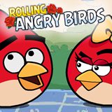 Rolling Angry Birds